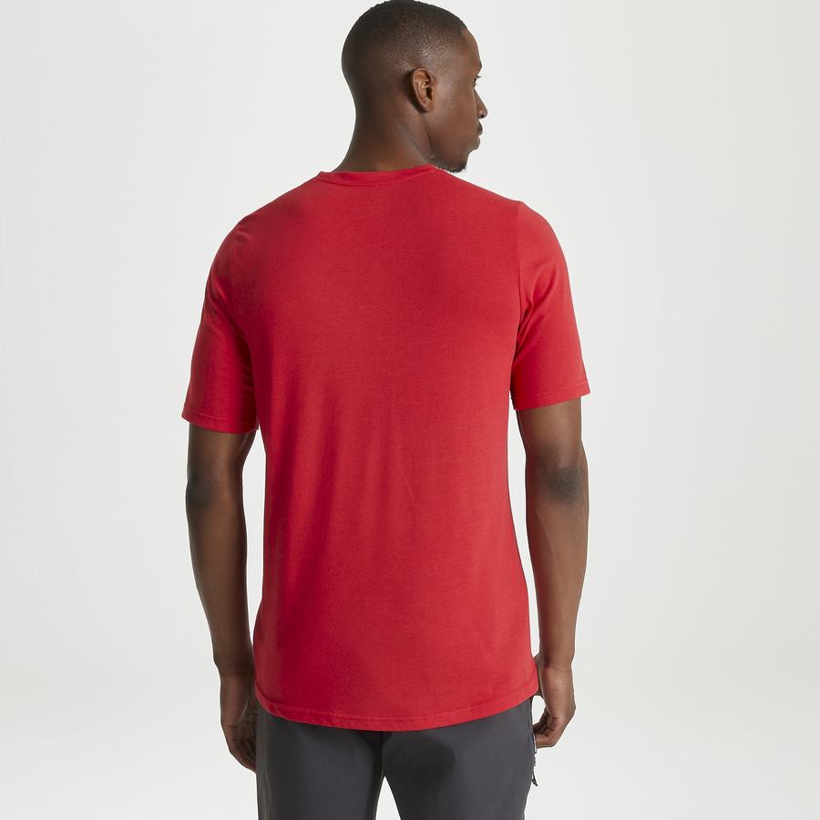 Craghoppers Dynamic Short Sleeved Sriracha Red Men's T-Shirts Red | EGL6072TD