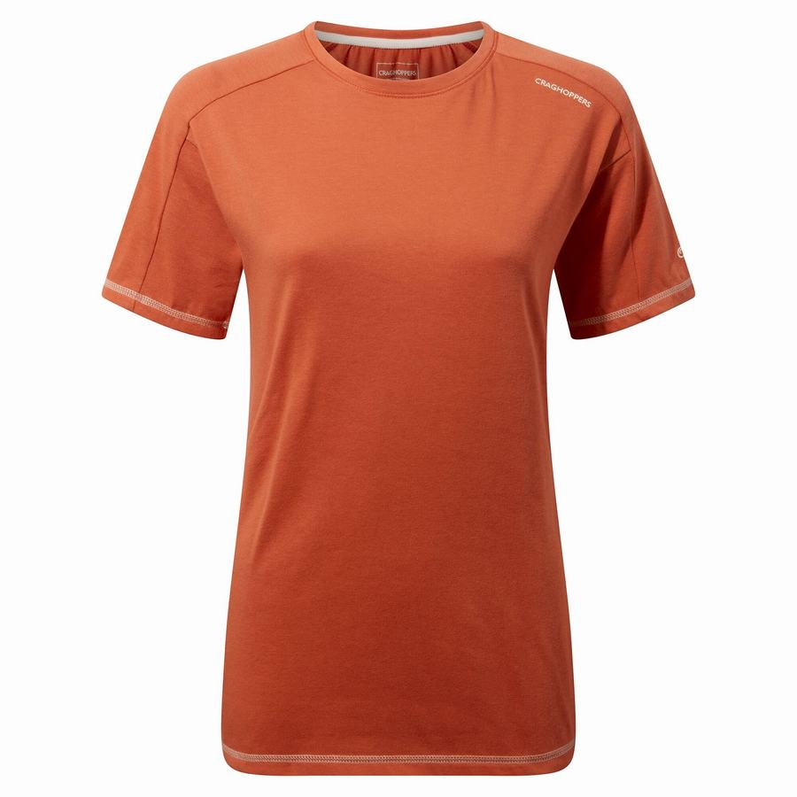 Craghoppers Dynamic Short Sleeved Warm Ginger Women's T-Shirts Orange | ULU10035GQ