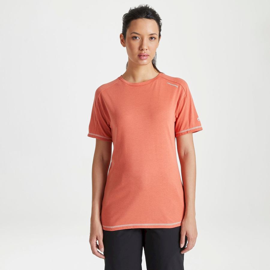 Craghoppers Dynamic Short Sleeved Warm Ginger Women's T-Shirts Orange | ULU10035GQ