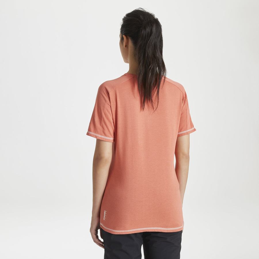 Craghoppers Dynamic Short Sleeved Warm Ginger Women's T-Shirts Orange | ULU10035GQ