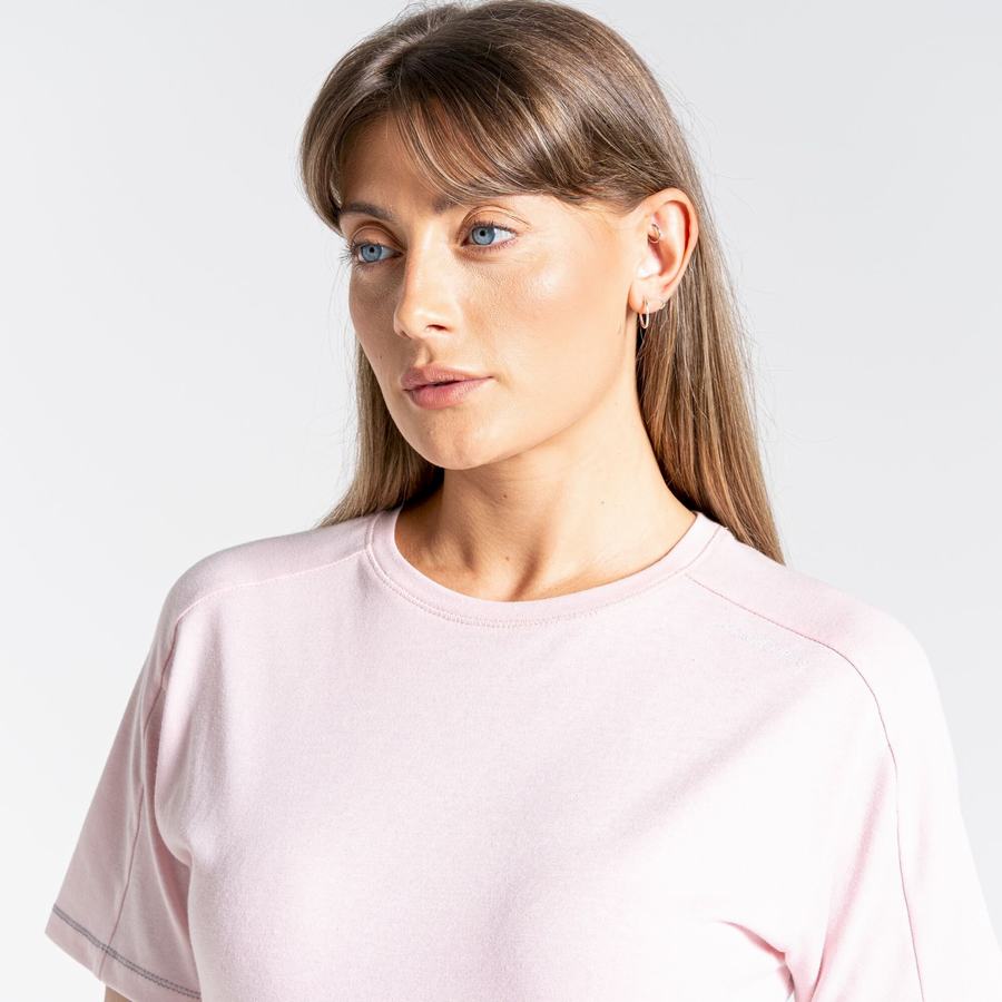 Craghoppers Dynamic Short Sleeved Women's T-Shirts Pink | YMI6516BU