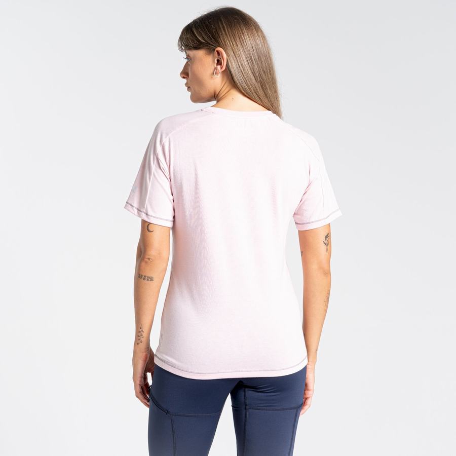 Craghoppers Dynamic Short Sleeved Women's T-Shirts Pink | YMI6516BU