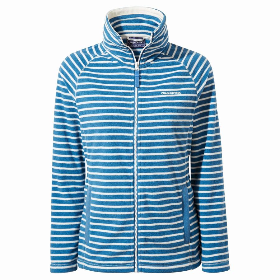 Craghoppers Ella Women's Sweaters Blue Stripes | TSP1175QZ