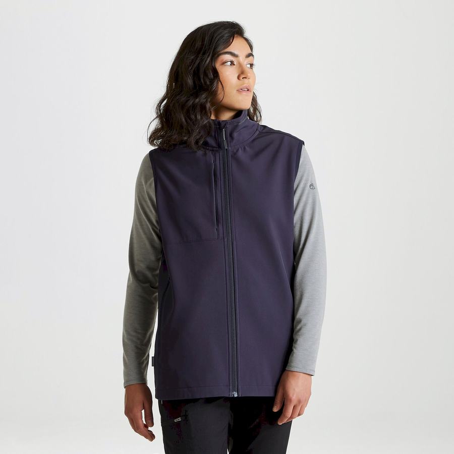 Craghoppers Expert Basecamp Softshell Vest Men's Gilets Navy | XKF2642YU