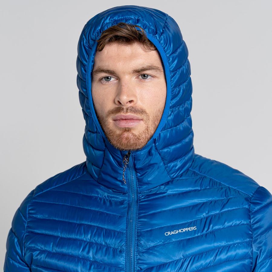 Craghoppers ExpoLite Insulated Hooded Men's Jackets Blue | CYJ6334GG