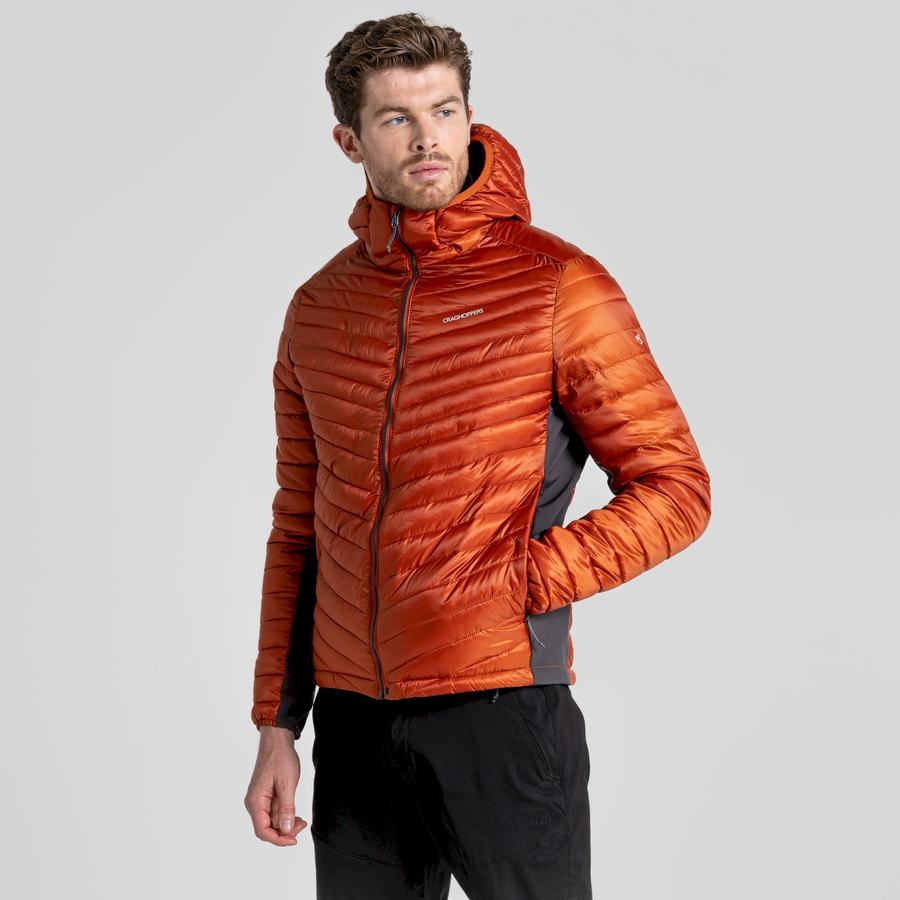 Craghoppers ExpoLite Insulated Hooded Men's Jackets Orange | HRS6440AY