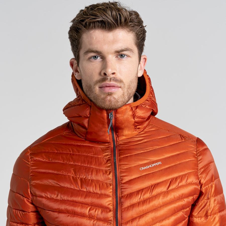 Craghoppers ExpoLite Insulated Hooded Men's Jackets Orange | HRS6440AY