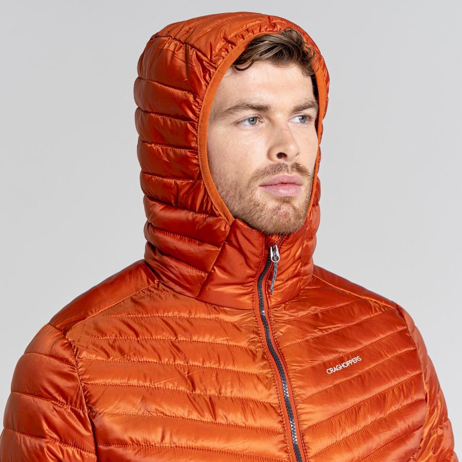 Craghoppers ExpoLite Insulated Hooded Men's Jackets Orange | HRS6440AY