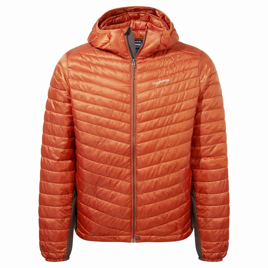 Craghoppers ExpoLite Insulated Hooded Men\'s Jackets Orange | HRS6440AY