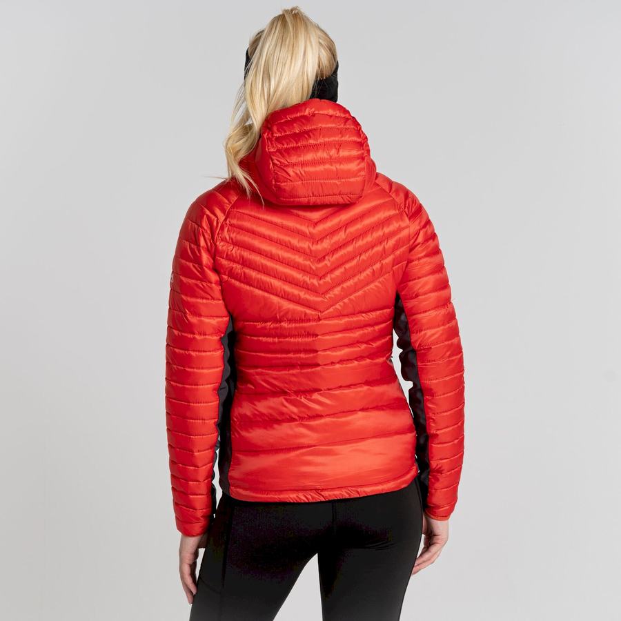 Craghoppers ExpoLite Insulated Hooded Women's Jackets Orange | AJX5551SE