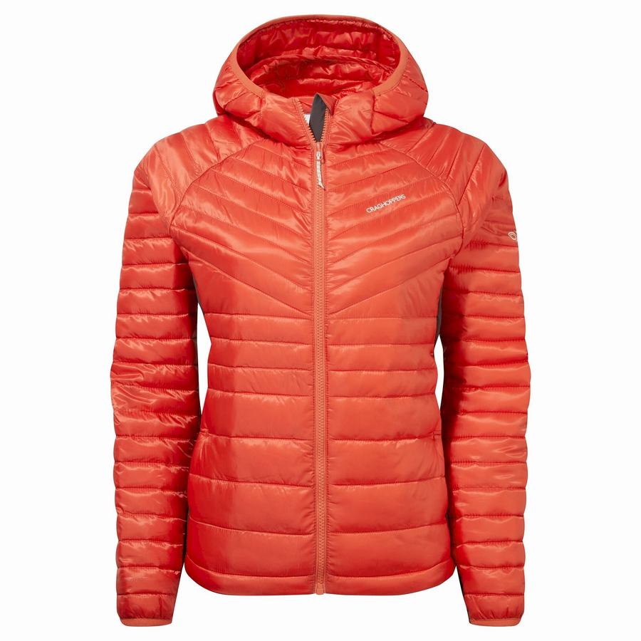 Craghoppers ExpoLite Insulated Hooded Women\'s Jackets Orange | AJX5551SE