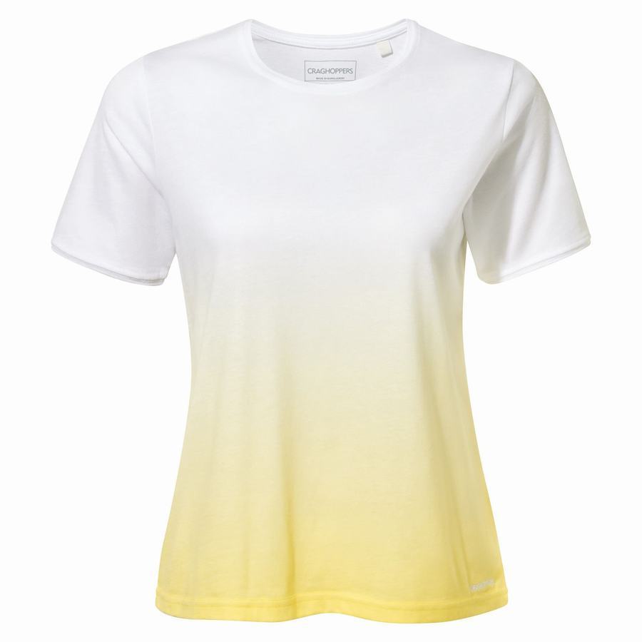 Craghoppers Ilyse Short Sleeved Women's T-Shirts White Yellow | KVK2348MA