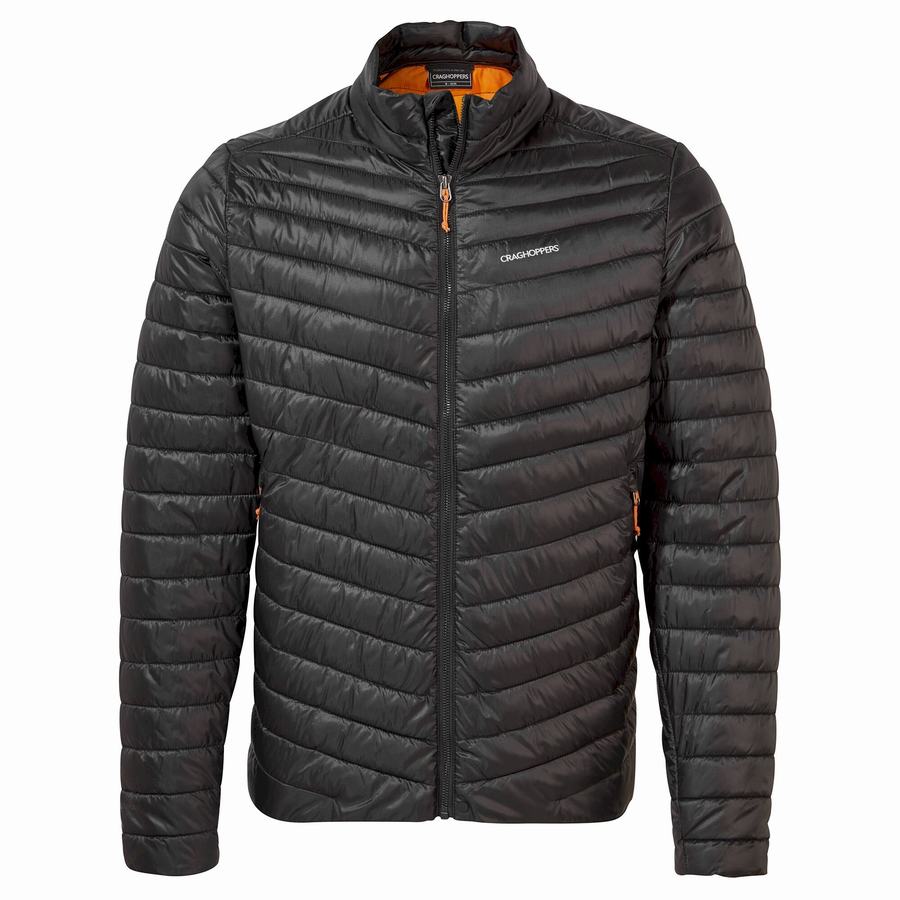 Craghoppers Insulated ExpoLite Men's Jackets Black Orange | PFH1099ZH