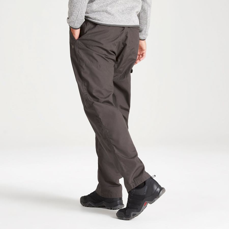 Craghoppers Kiwi Classic Men's Trousers Grey | BCH6747TF