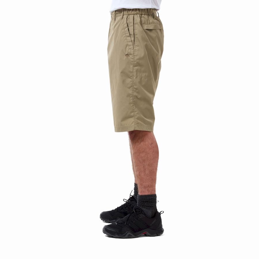 Craghoppers Kiwi Long Men's Shorts Khaki | DOJ7674JA