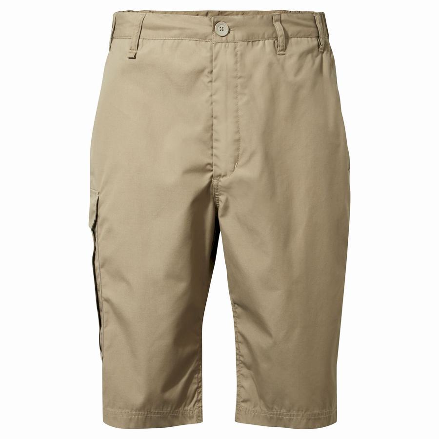 Craghoppers Kiwi Long Men's Shorts Khaki | DOJ7674JA