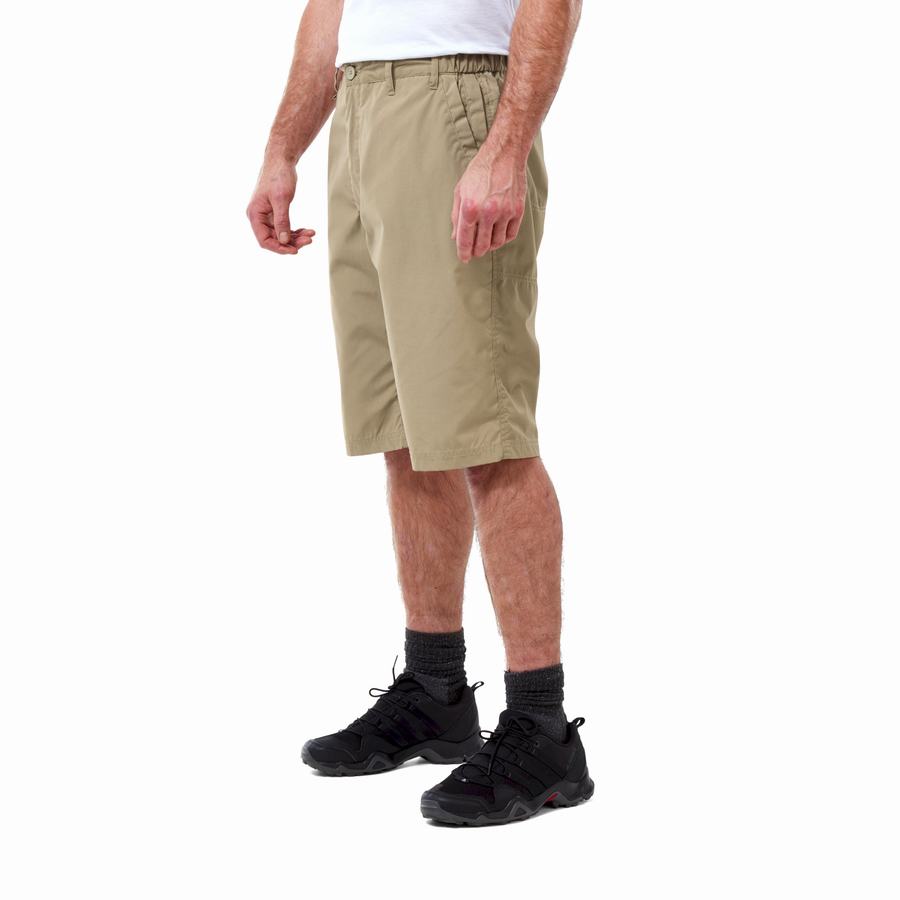 Craghoppers Kiwi Long Men's Shorts Khaki | DOJ7674JA