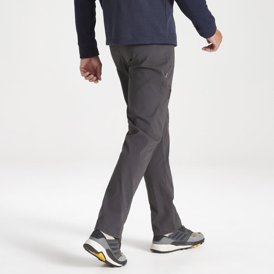 Craghoppers Kiwi Pro II Men's Trousers Grey | CER5175HV