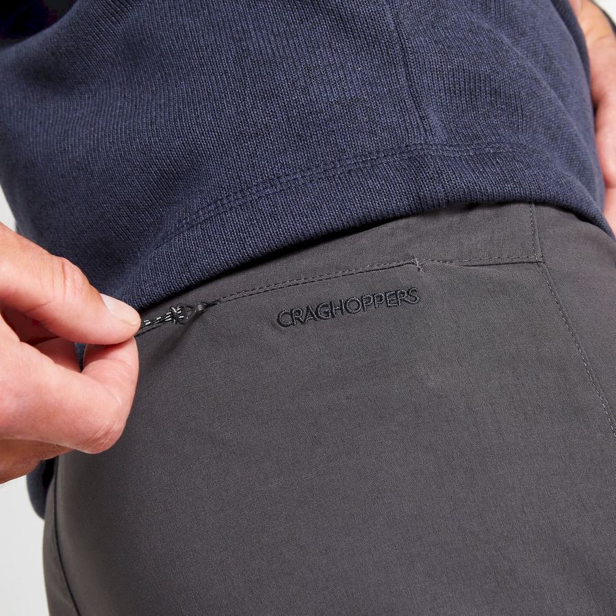 Craghoppers Kiwi Pro II Men's Trousers Grey | CER5175HV