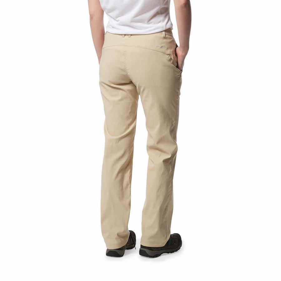 Craghoppers Kiwi Pro II Women's Trousers Brown | YKM323MT