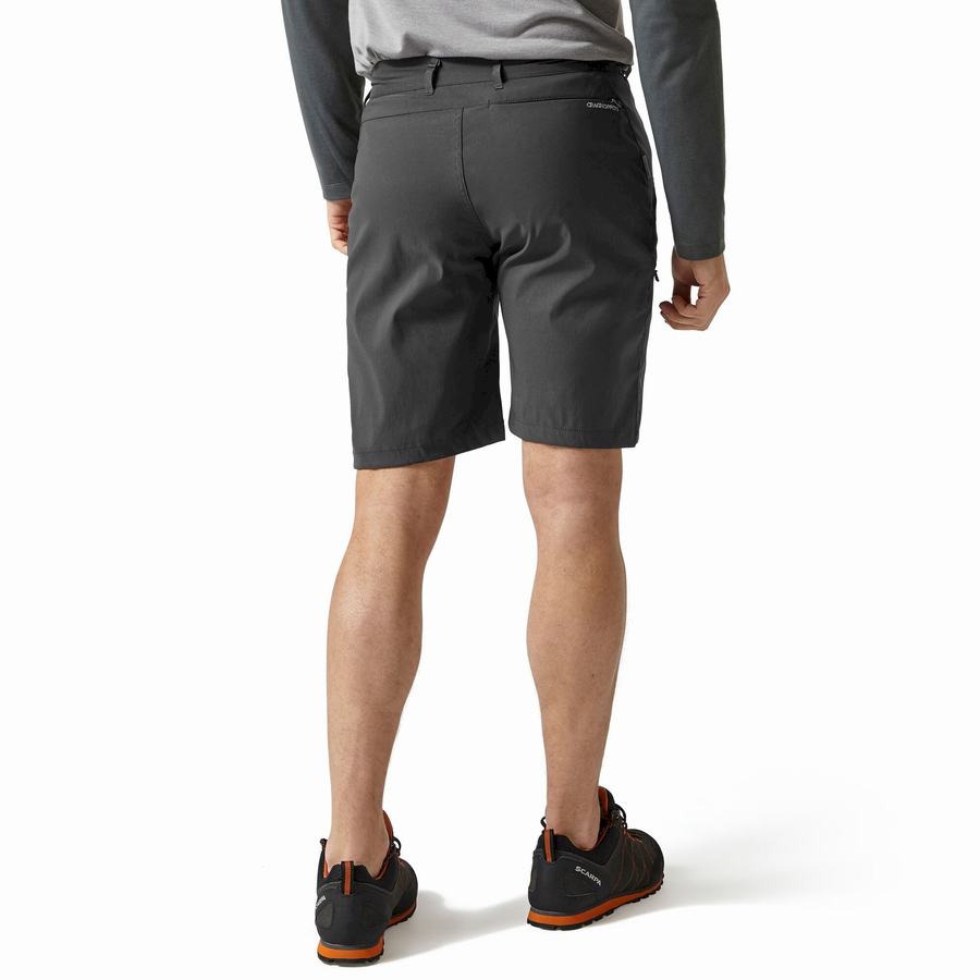 Craghoppers Kiwi Pro Men's Shorts Dark Grey | XTC8142LJ