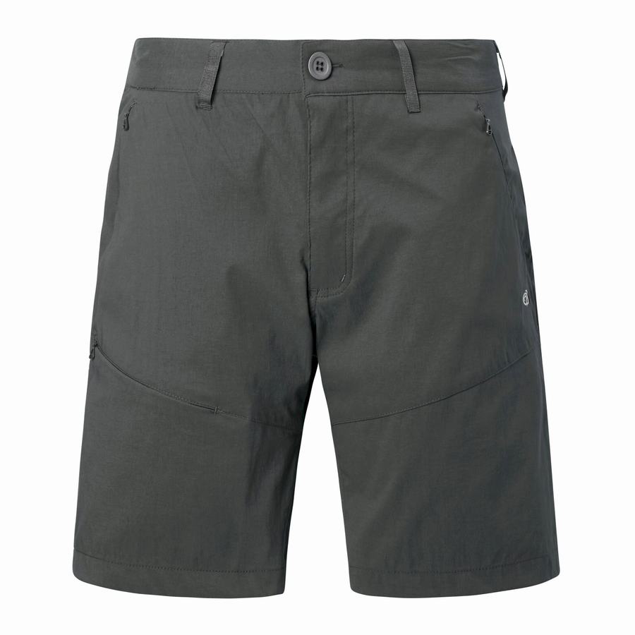 Craghoppers Kiwi Pro Men's Shorts Dark Grey | XTC8142LJ