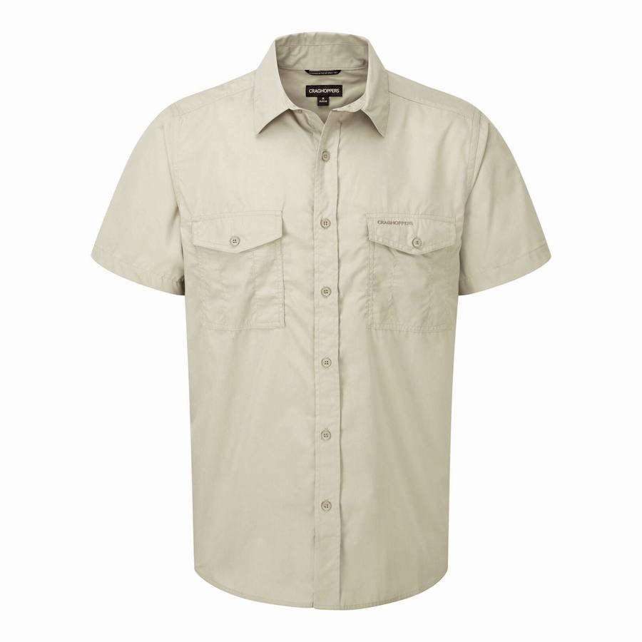 Craghoppers Kiwi Short Sleeved Men's Shirts Beige | GDM8112JY