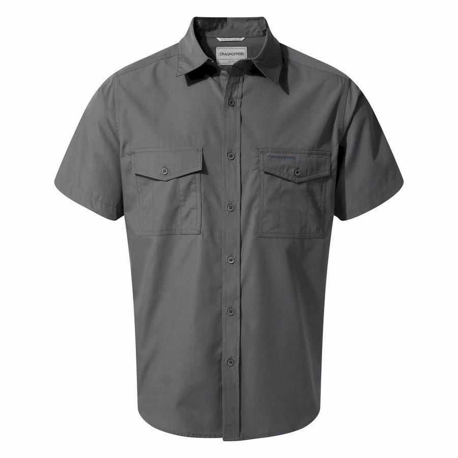 Craghoppers Kiwi Short Sleeved Men's Shirts Blue | GJW10075VW