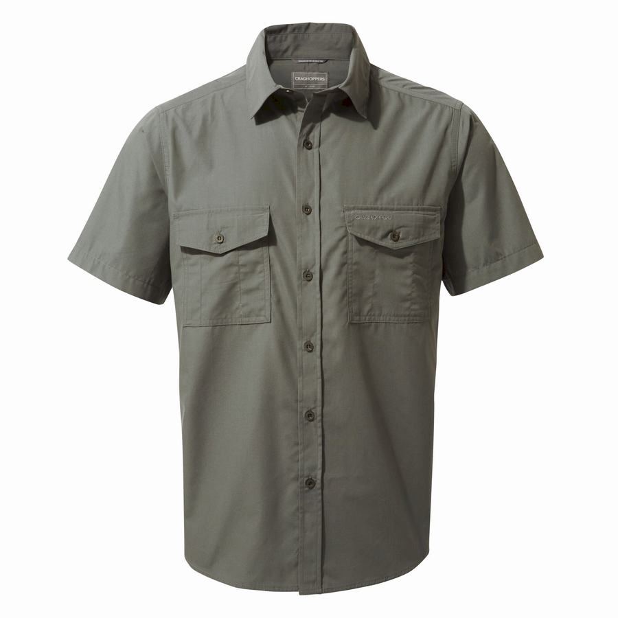 Craghoppers Kiwi Short Sleeved Men's Shirts Dark Grey | MYO2086SC