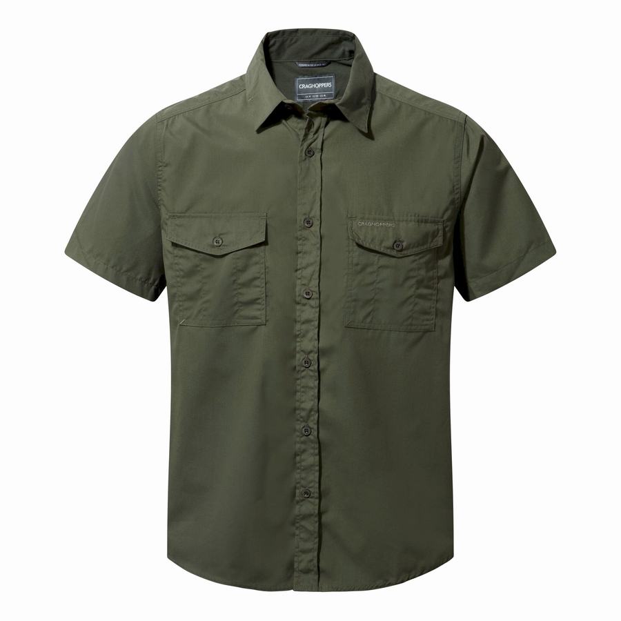 Craghoppers Kiwi Short Sleeved Men's Shirts Deep Green | ZWL6415PL