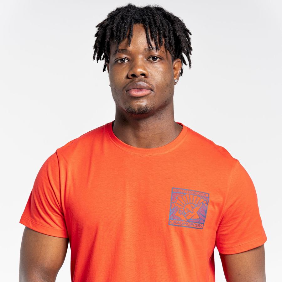 Craghoppers Lugo Short Sleeved Men's T-Shirts Orange Red | FSY9697NW