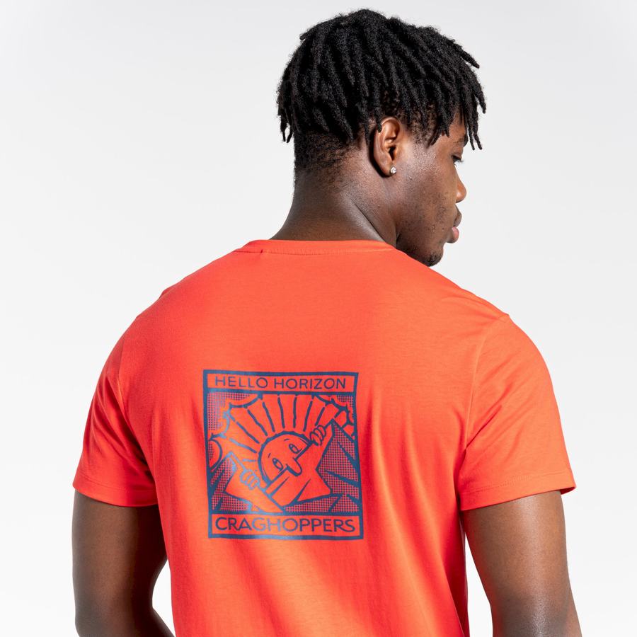 Craghoppers Lugo Short Sleeved Men's T-Shirts Orange Red | FSY9697NW