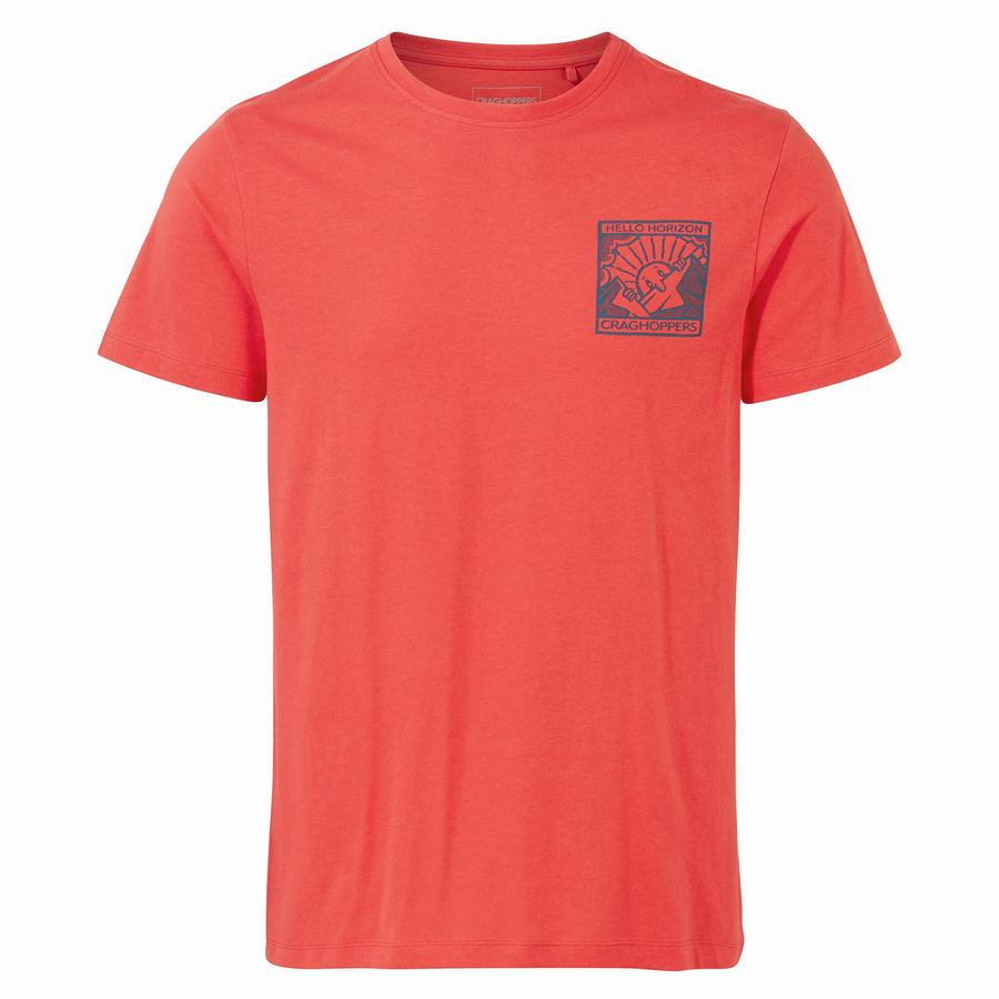 Craghoppers Lugo Short Sleeved Men's T-Shirts Orange Red | FSY9697NW