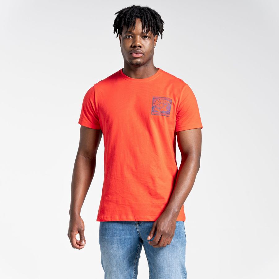 Craghoppers Lugo Short Sleeved Men's T-Shirts Orange Red | FSY9697NW