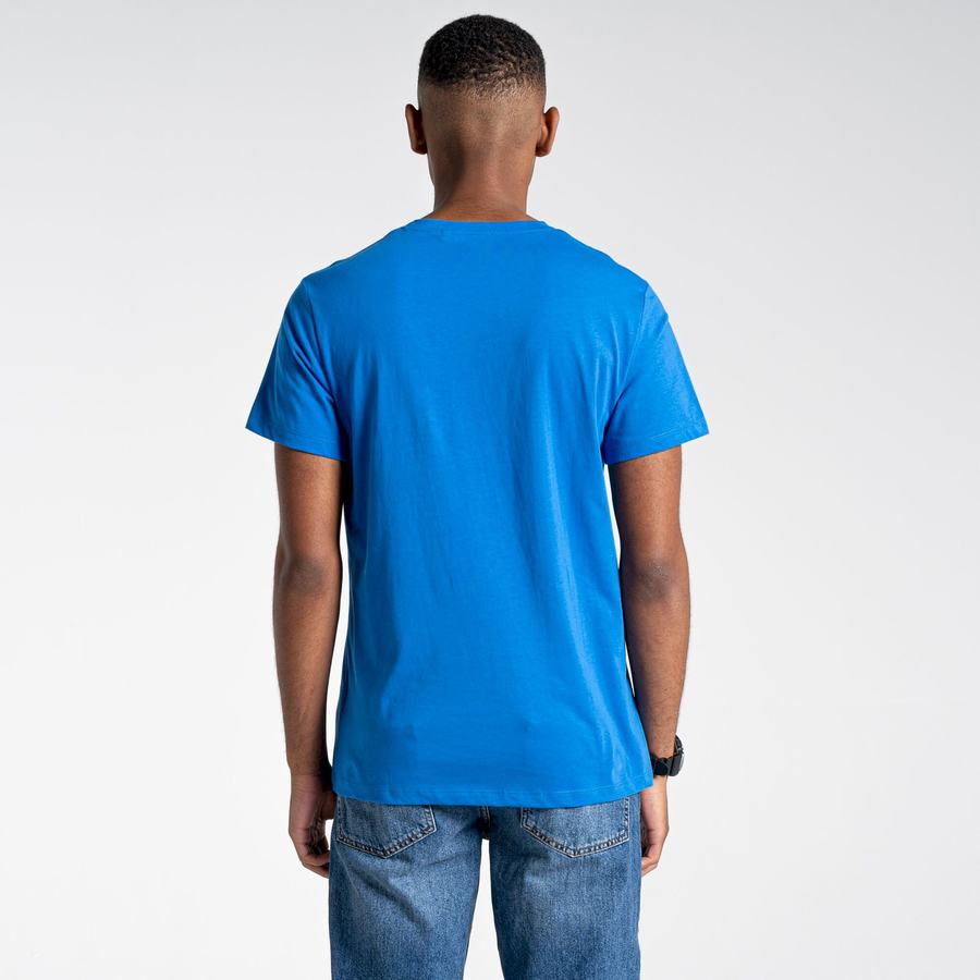 Craghoppers Lugo Short Sleeved Men's T-Shirts Blue | PIP7347HJ