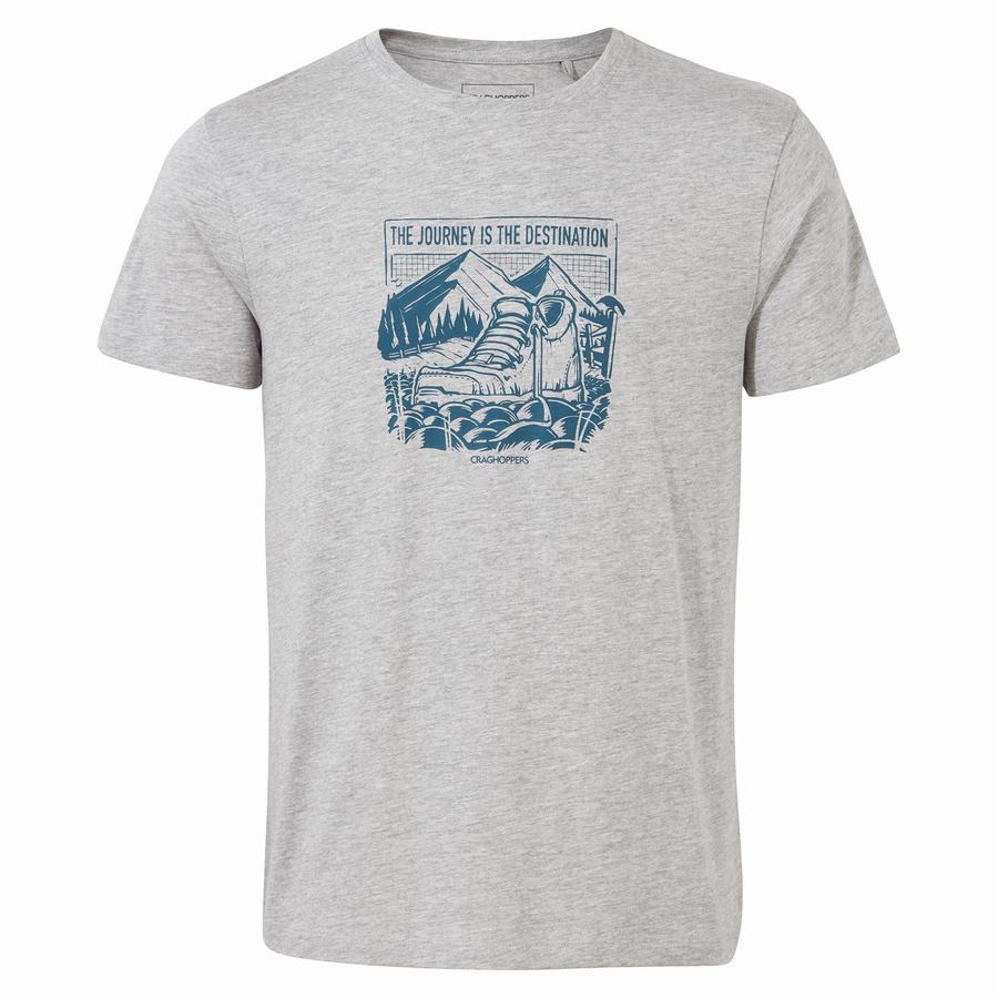 Craghoppers Lugo Short Sleeved Men's T-Shirts Grey | TTG1310XQ