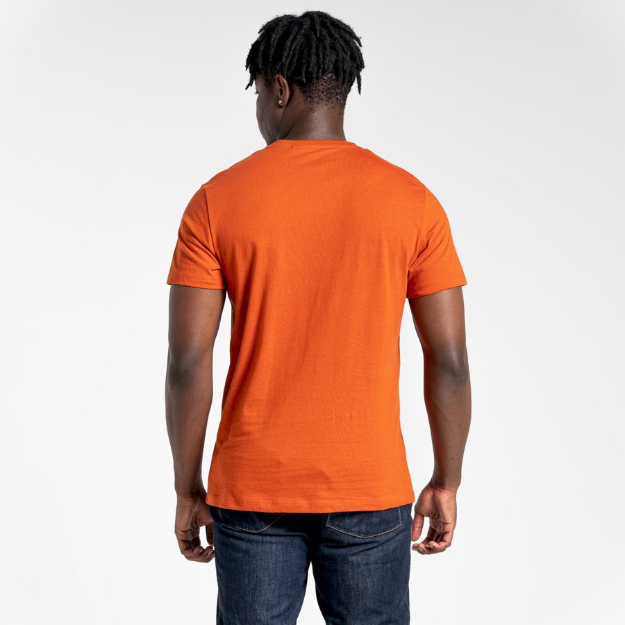 Craghoppers Lugo Short Sleeved Men's T-Shirts Orange | UPL4375FA