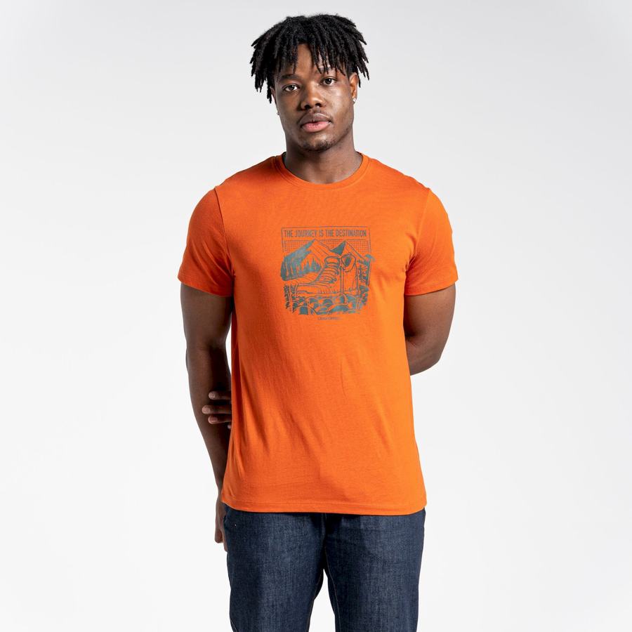 Craghoppers Lugo Short Sleeved Men's T-Shirts Orange | UPL4375FA