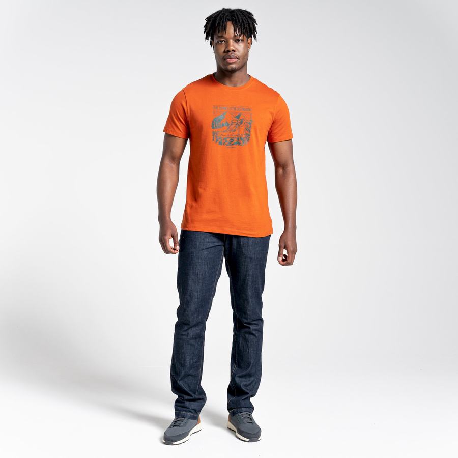 Craghoppers Lugo Short Sleeved Men's T-Shirts Orange | UPL4375FA