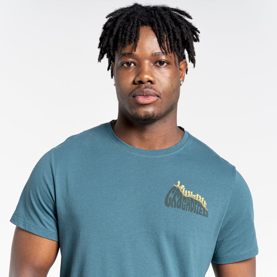 Craghoppers Lugo Short Sleeved Men's T-Shirts Green | YVP7495WS