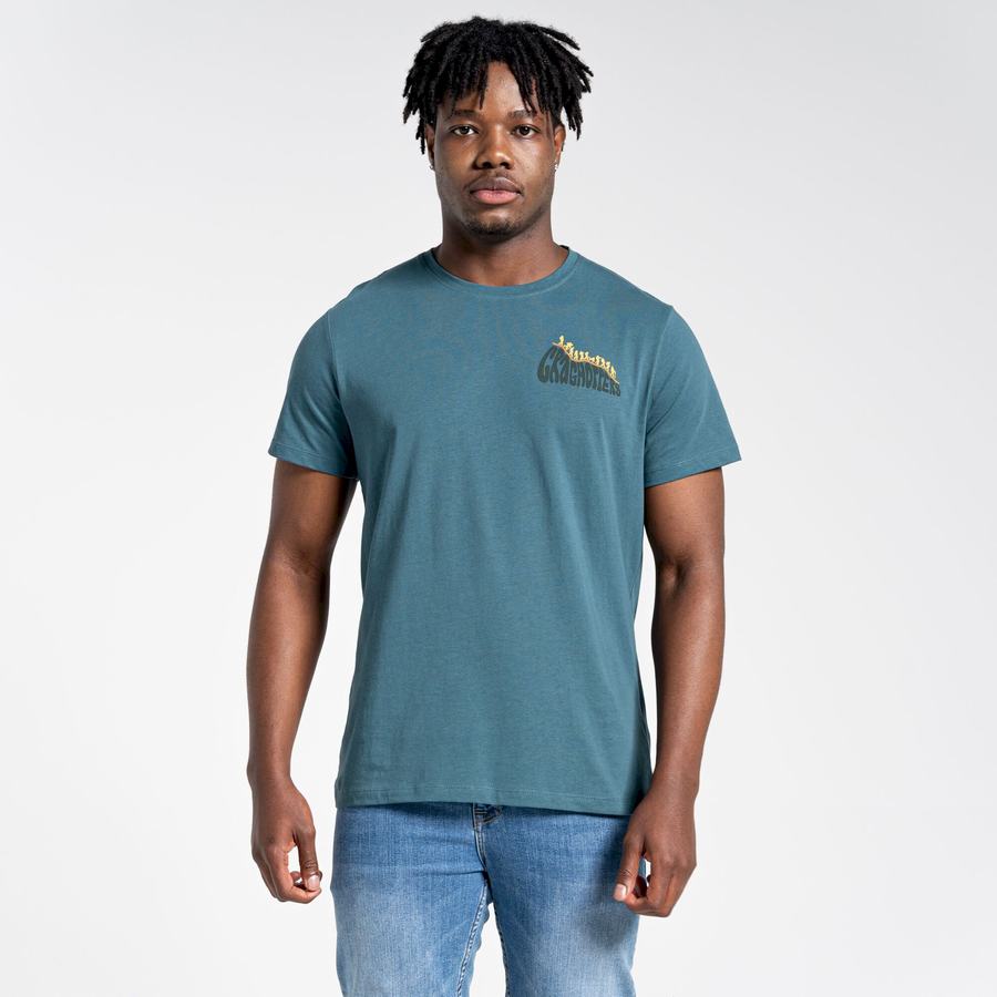 Craghoppers Lugo Short Sleeved Men's T-Shirts Green | YVP7495WS