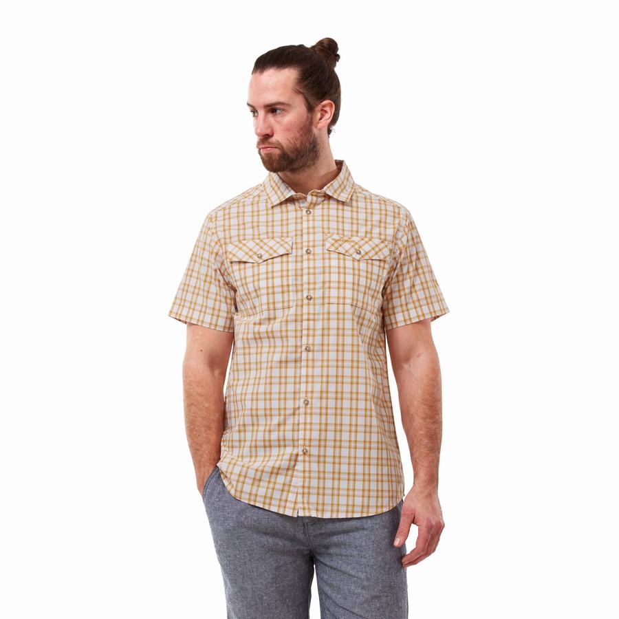 Craghoppers Murray Short Sleeved Men's Shirts Multicolor | HDS4193QZ