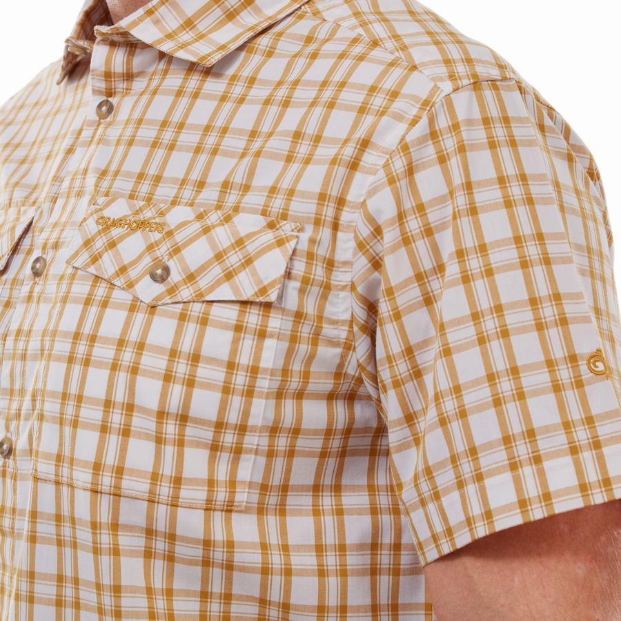 Craghoppers Murray Short Sleeved Men's Shirts Multicolor | HDS4193QZ