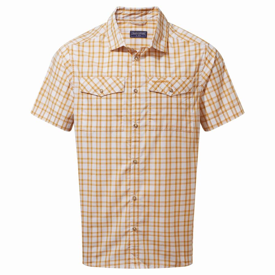 Craghoppers Murray Short Sleeved Men\'s Shirts Multicolor | HDS4193QZ