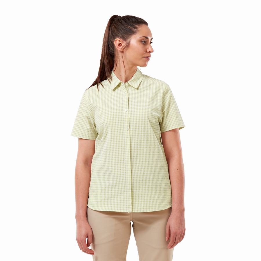 Craghoppers Nasima Short Sleeved Women's Shirts Yellow | AUT2036DL