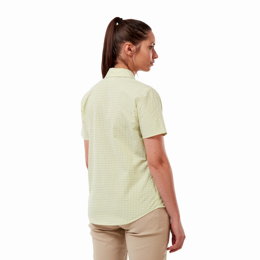 Craghoppers Nasima Short Sleeved Women's Shirts Yellow | AUT2036DL