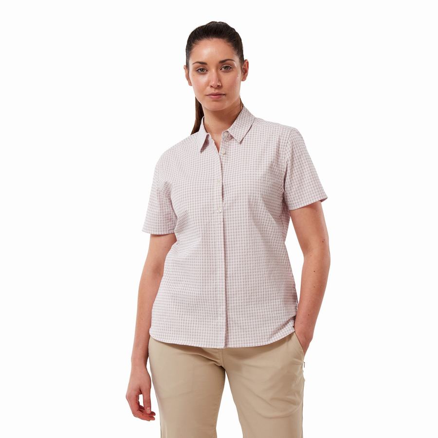 Craghoppers Nasima Short Sleeved Women's Shirts Purple | GNB4079MC