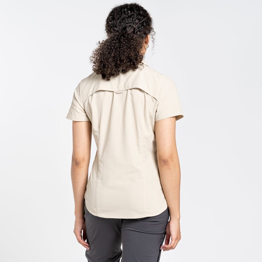 Craghoppers NosiLife Adventure II Short Sleeved Women's Shirts Brown | OXV1768QN