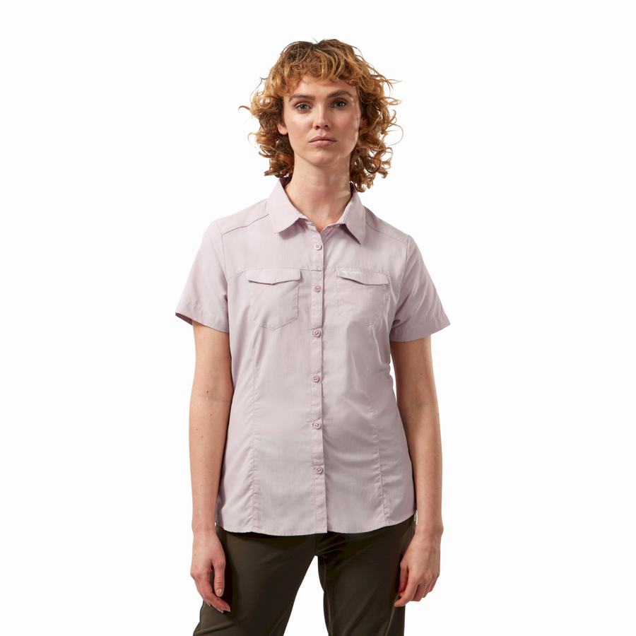 Craghoppers NosiLife Adventure II Short Sleeved Women's Shirts Purple | PBN4651RA