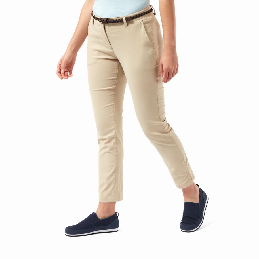 Craghoppers NosiLife Briar Women's Trousers Brown | MOD2751PF